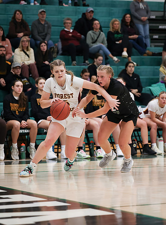 Mounds View vs Forest Lake Varsity Basketball 206