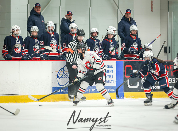 Centennial SLP vs CP-CR Varsity Hockey 88