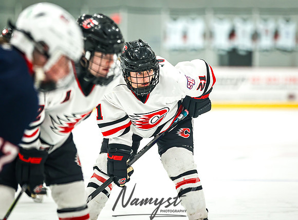 Centennial SLP vs CP-CR Varsity Hockey 93