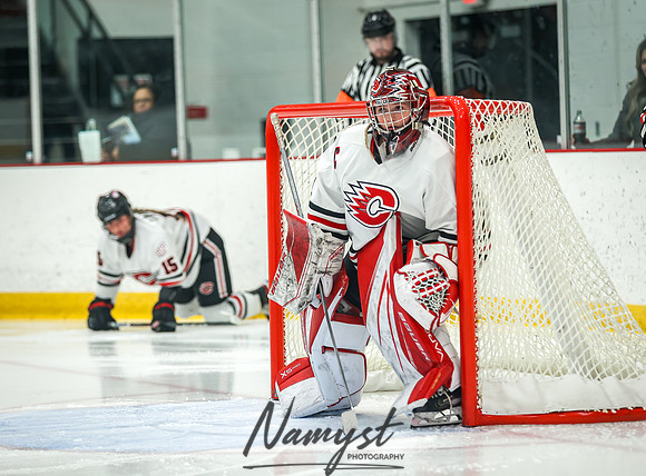 Centennial SLP vs CP-CR Varsity Hockey 95