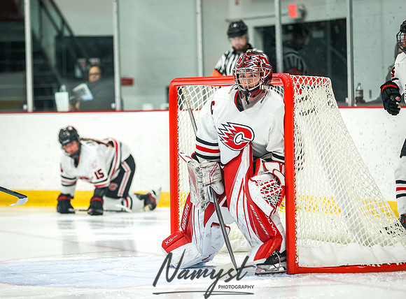 Centennial SLP vs CP-CR Varsity Hockey 96