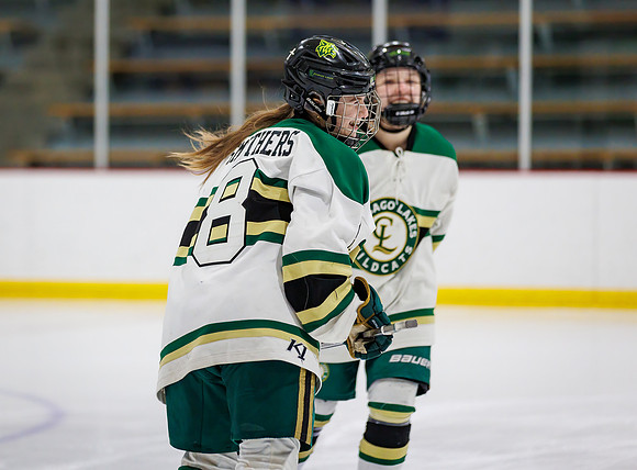 Chisago vs Pine City Varsity Hockey 17