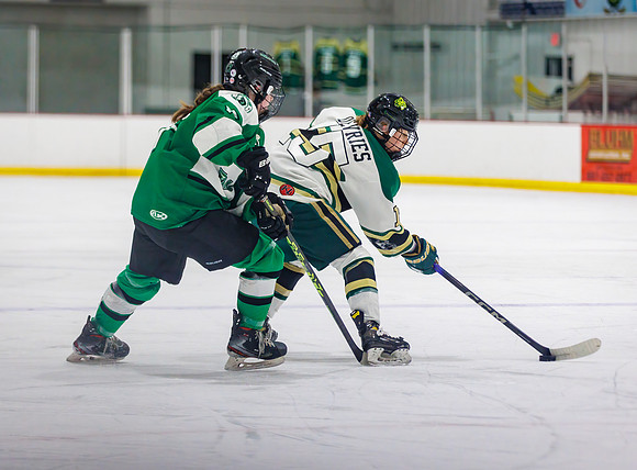 Chisago vs Pine City Varsity Hockey 254