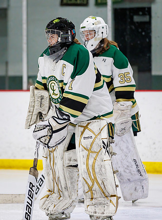 Chisago vs Pine City Varsity Hockey 29