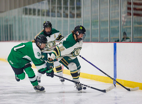 Chisago vs Pine City Varsity Hockey 294