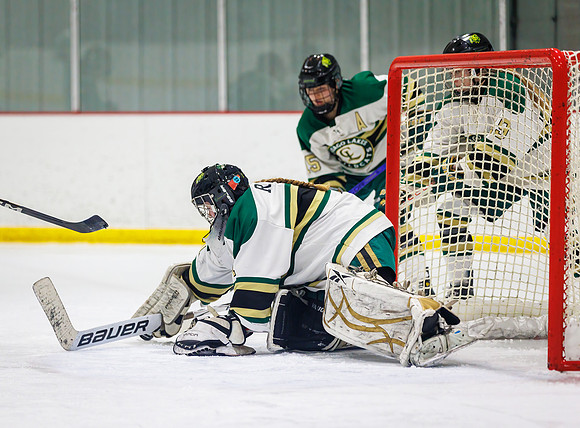Chisago vs Pine City Varsity Hockey 319