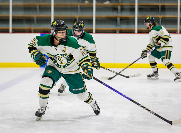 Chisago vs Pine City Varsity Hockey 33