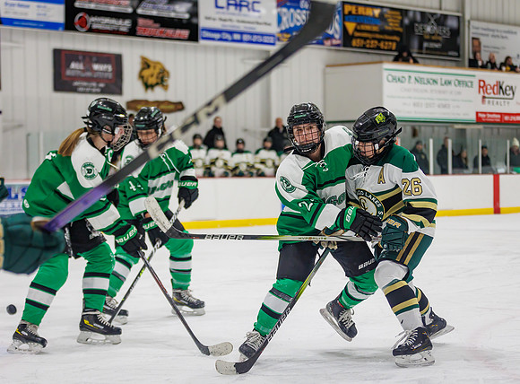 Chisago vs Pine City Varsity Hockey 336