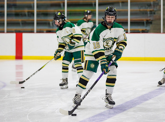 Chisago vs Pine City Varsity Hockey 35