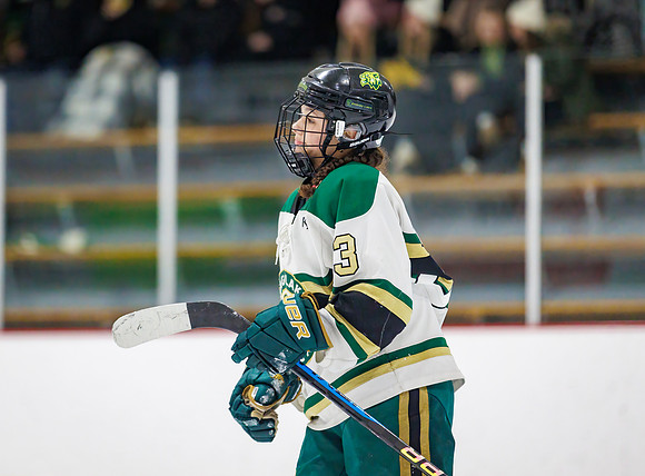 Chisago vs Pine City Varsity Hockey 392