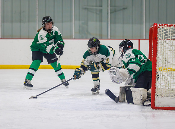 Chisago vs Pine City Varsity Hockey 483
