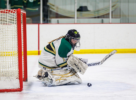 Chisago vs Pine City Varsity Hockey 517