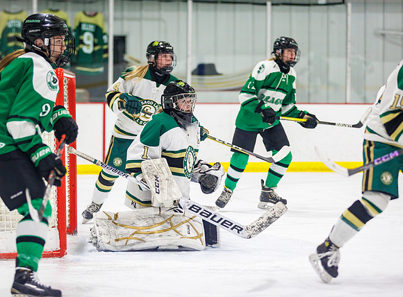Chisago vs Pine City Varsity Hockey 521