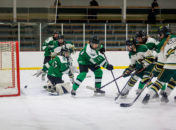 Chisago vs Pine City Varsity Hockey 534