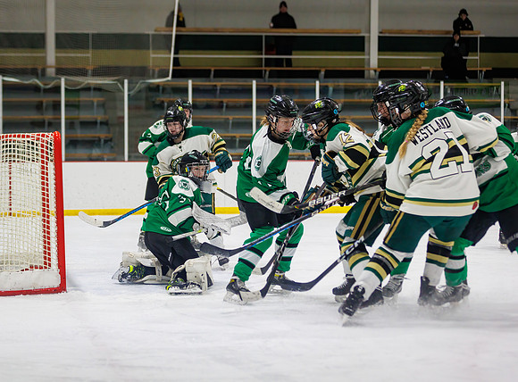 Chisago vs Pine City Varsity Hockey 535