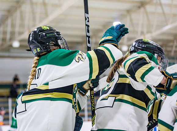 Chisago vs Pine City Varsity Hockey 548