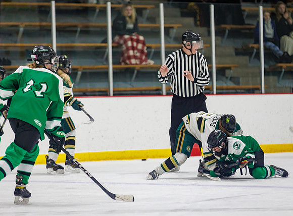 Chisago vs Pine City Varsity Hockey 572