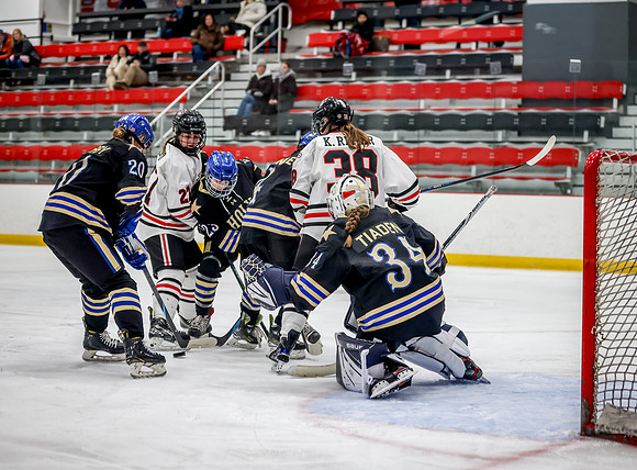 Centennial vs Holy Angels JV Hockey 27