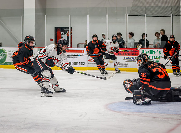 Centennial vs White Bear Lake Varsity Hockey 130