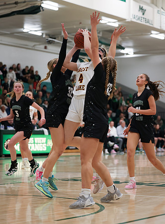 Mounds View vs Forest Lake Varsity Basketball 149