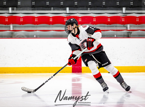Centennial vs Duluth East JV Hockey 2