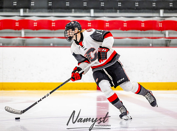 Centennial vs Duluth East JV Hockey 3