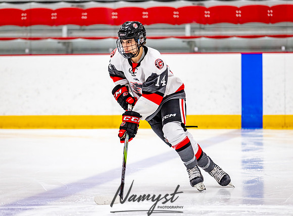 Centennial vs Duluth East JV Hockey 10