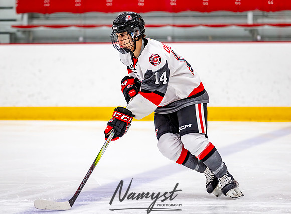 Centennial vs Duluth East JV Hockey 11
