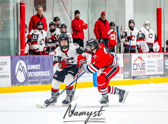 Centennial vs Duluth East JV Hockey 34