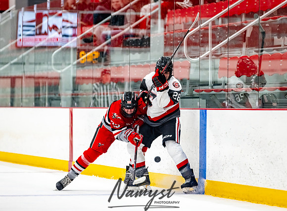 Centennial vs Duluth East JV Hockey 55