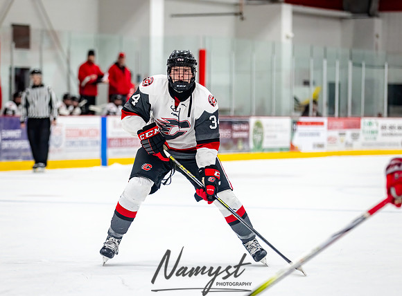 Centennial vs Duluth East JV Hockey 56