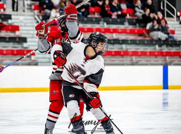 Centennial vs Duluth East JV Hockey 74