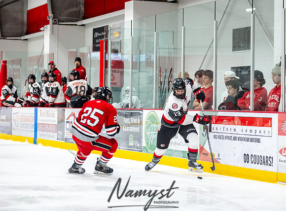 Centennial vs Duluth East JV Hockey 82