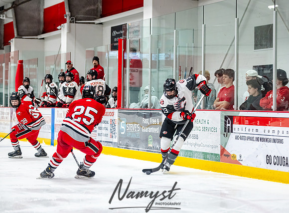 Centennial vs Duluth East JV Hockey 81