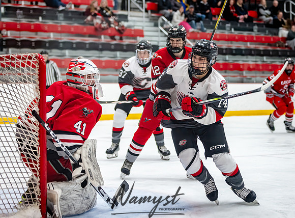 Centennial vs Duluth East JV Hockey 87