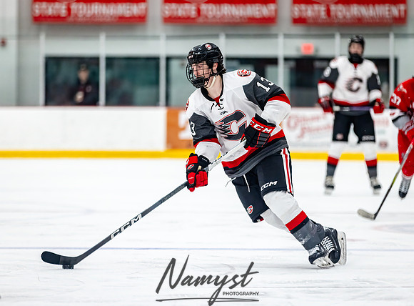 Centennial vs Duluth East JV Hockey 95