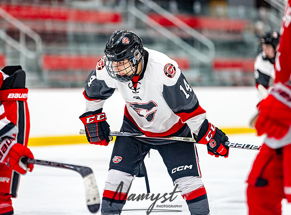 Centennial vs Duluth East JV Hockey 93