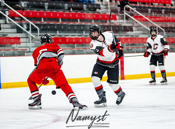 Centennial vs Duluth East JV Hockey 99