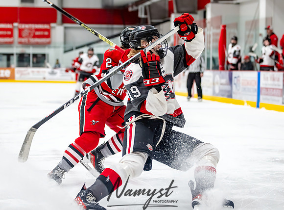 Centennial vs Duluth East JV Hockey 106
