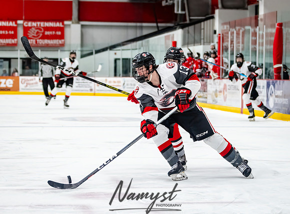 Centennial vs Duluth East JV Hockey 111