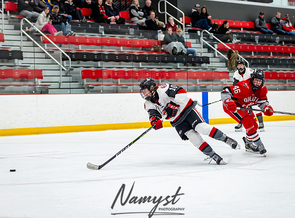 Centennial vs Duluth East JV Hockey 114