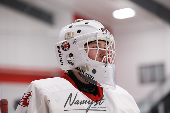 Centennial vs Duluth East Varsity Hockey 5