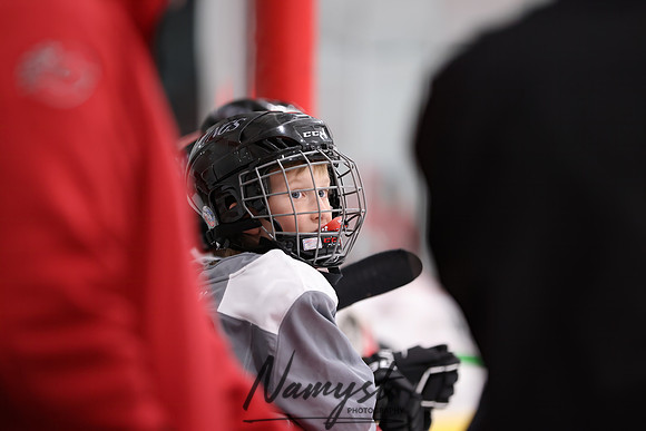 Centennial vs Duluth East Varsity Hockey 6