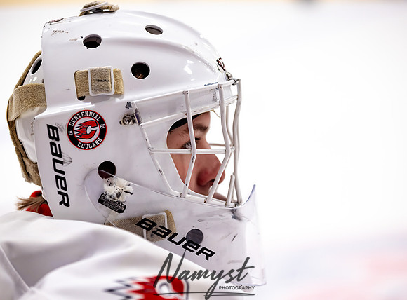 Centennial vs Duluth East Varsity Hockey 7