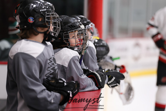 Centennial vs Duluth East Varsity Hockey 8
