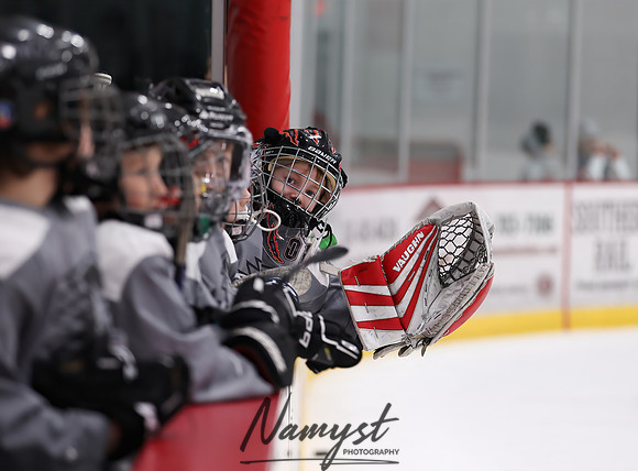 Centennial vs Duluth East Varsity Hockey 10