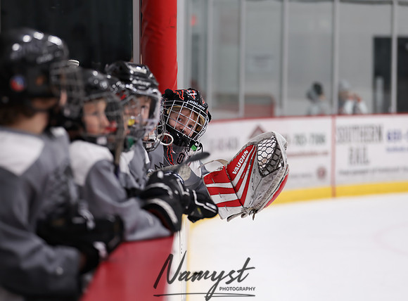 Centennial vs Duluth East Varsity Hockey 11