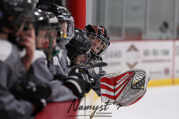 Centennial vs Duluth East Varsity Hockey 14