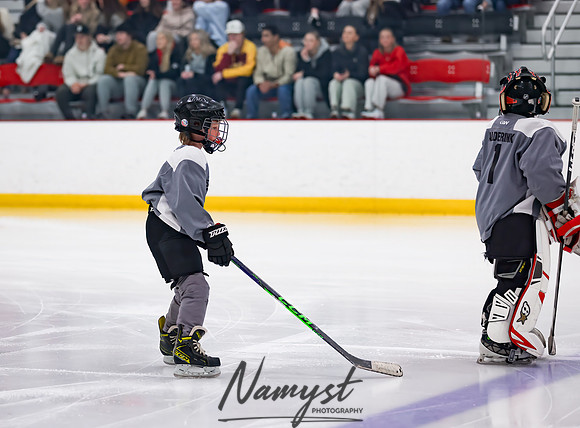 Centennial vs Duluth East Varsity Hockey 24