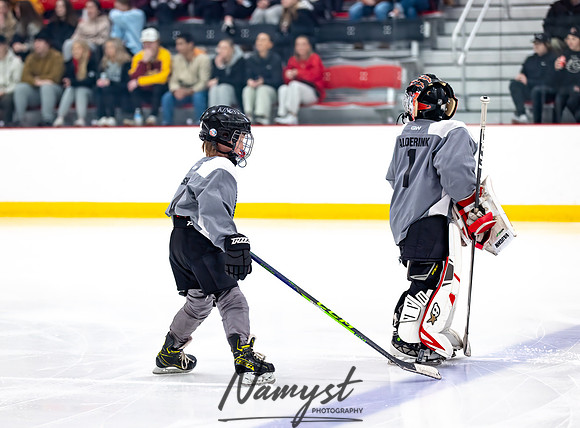 Centennial vs Duluth East Varsity Hockey 25